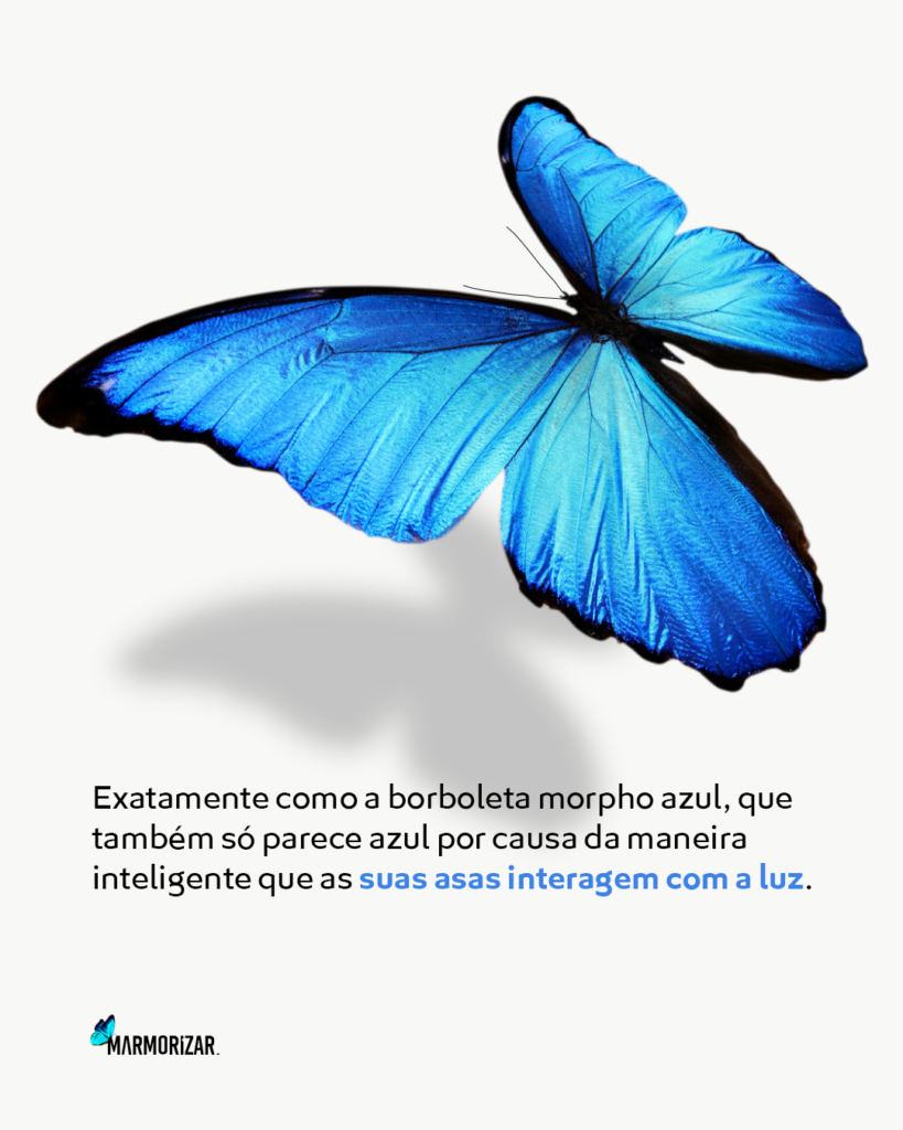 Elizeu Dantas