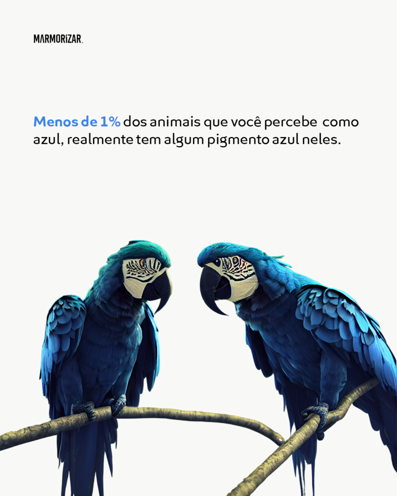 Elizeu Dantas