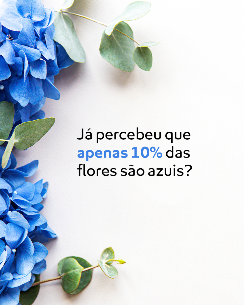 Elizeu Dantas