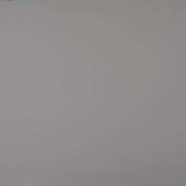 Intense-Light-Gray.png